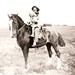 Howard Powell Photo 35