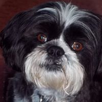 Fred Payne Photo 38 Fred Payne Photo 38