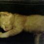 Charlie Trout Photo 7