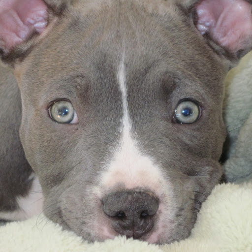 Heather Adkins Photo 44