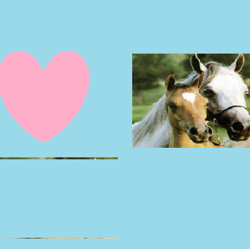 Becky Swanson Photo 17