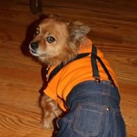 Susan Drake Photo 8 Susan Drake Photo 8