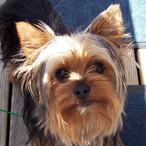 Sharon Hopson Photo 14