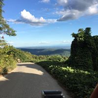 Dawn Mcneal Photo 10