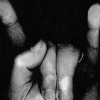 Michael Scheer Photo 16