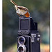Robin Moon Photo 6
