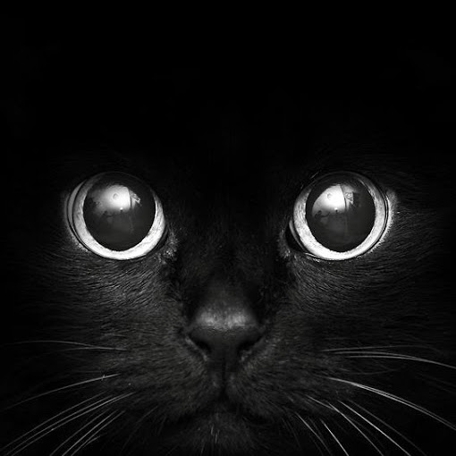 Terri Bateman Photo 15