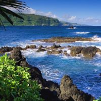 Cassandra Banks Photo 15