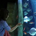 Jessica Fish Photo 21