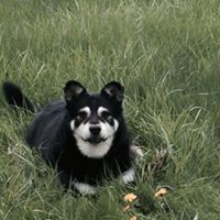 Kelly Palmer Photo 7