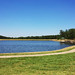 Ann Cross Photo 24