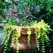Jenny Shields Photo 31
