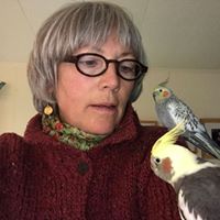 Cynthia Boyer Photo 8
