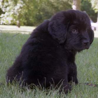 Michelle Barth Photo 12