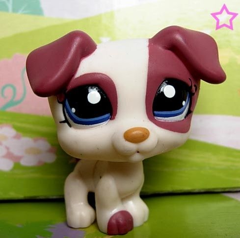 Diane Rojas Photo 12