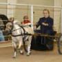 Shelley Huff Photo 18