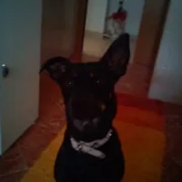 Anna Santoro Photo 35