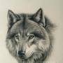 Ron Fletcher Photo 14