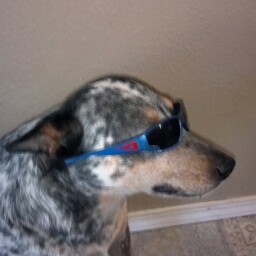 Tommy Nichols Photo 38