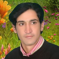 Mohammad Rashid Photo 13 Mohammad Rashid Photo 13