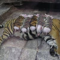 Kathleen Petty Photo 25 Kathleen Petty Photo 25