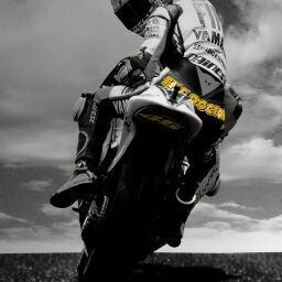 Cheryl Mayer Photo 12