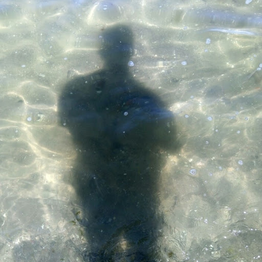 Michael Pfeifer Photo 28 Michael Pfeifer Photo 28