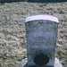 Samuel Wood Photo 23