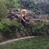 Jason Collette Photo 16