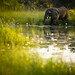 Michael Hutchens Photo 18