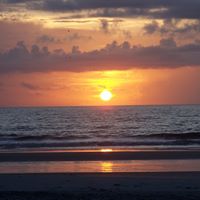 Michelle Cardone Photo 18