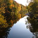 Laurie Trout Photo 8
