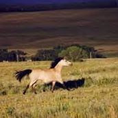 Nancy Wooten Photo 23