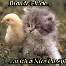 Marcus Lockhart Photo 4