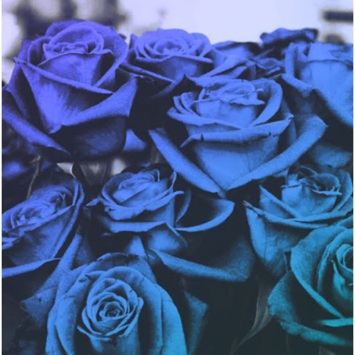 Reina Torres Photo 10