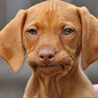 Tina Potter Photo 28