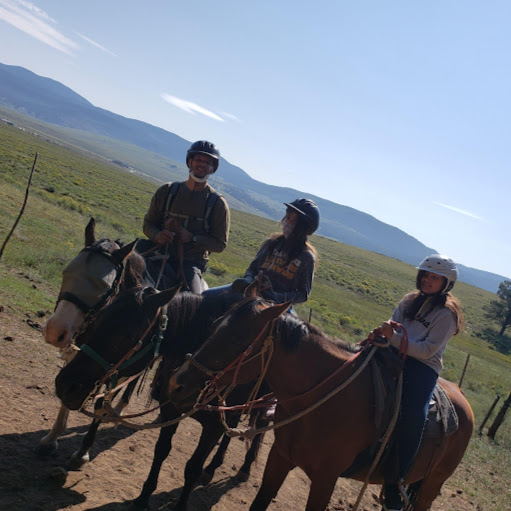 Phillip Gibbs Photo 36