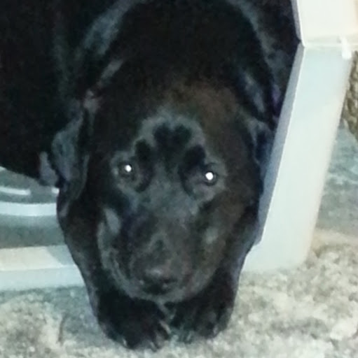 Karen Morrow Photo 35 Karen Morrow Photo 35