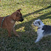 Cherie Montgomery Photo 22