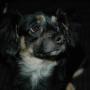 Kim Johns Photo 27