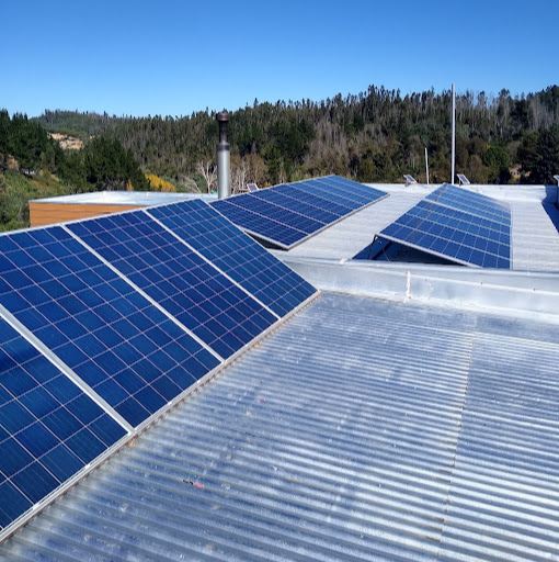 Alan Becker Photo 34 Alan Becker Photo 34