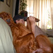 Chris Colby Photo 14