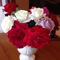 Mary Waggoner Photo 13