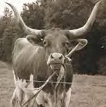 Nancy Mcclain Photo 32