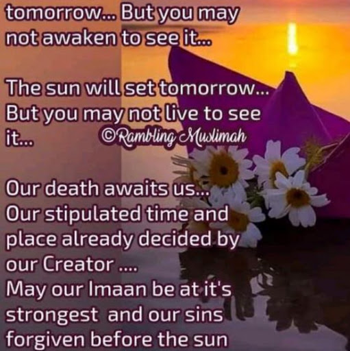 Hassan Ahmed Photo 14