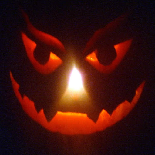 David Hewitt Photo 9