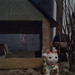 James Kochis Photo 15