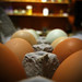 Robin Carton Photo 12