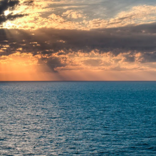 Janine Morris Photo 11