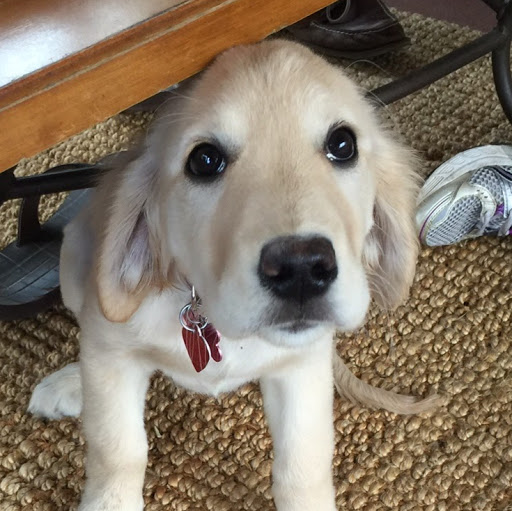 Joseph Marks Photo 35 Joseph Marks Photo 35